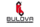 bulova